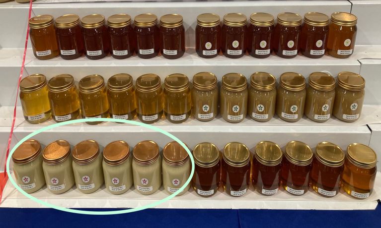 NSBKA win a first at National Honey Show